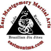 EMMA Logo #2 Thumbnail